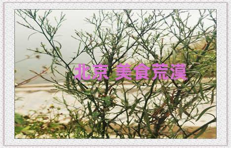北京 美食荒漠